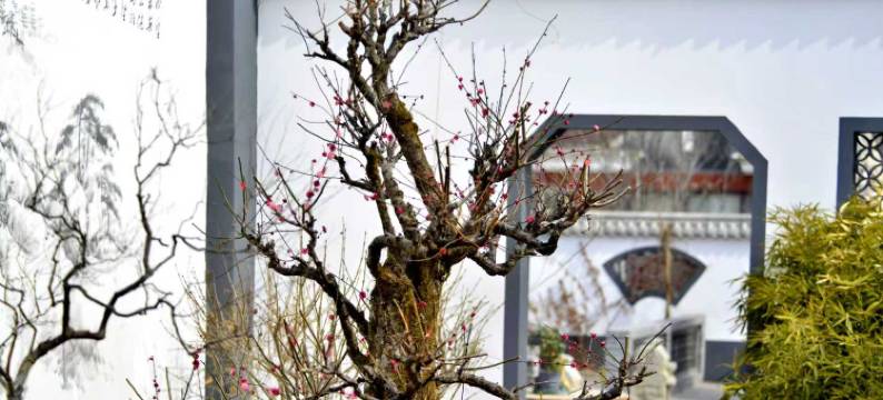 山海关58号民宿(秦皇岛山海关站店)图片