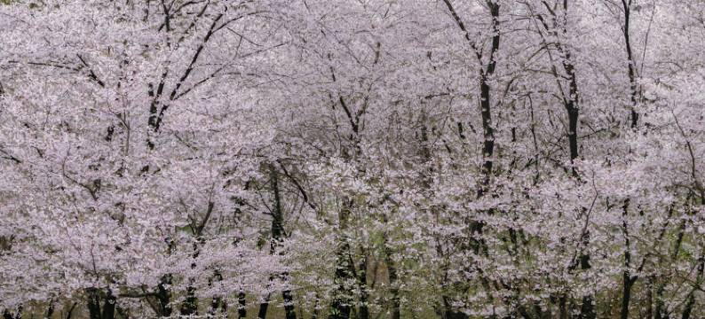 绍兴兰亭璞燊酒店图片