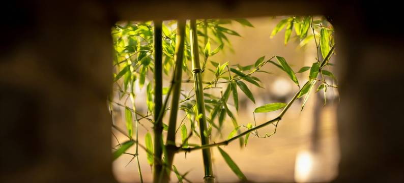 常州紫云玄清酒店图片