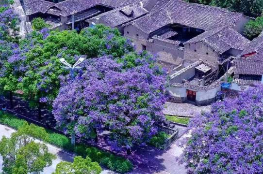 花筑·宿野温泉全景客栈(腾冲和顺古镇店)图片