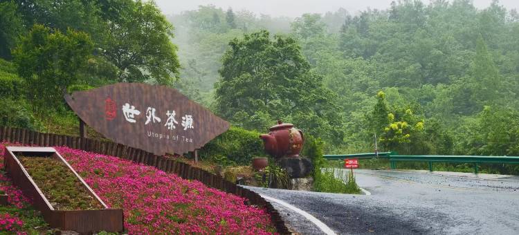 官山世外茶源客栈图片