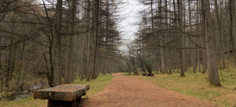 瓶兰居民宿图片
