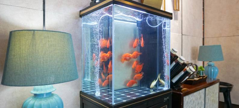 柏高酒店(广州珠江新城暨南大学天河校区店)图片