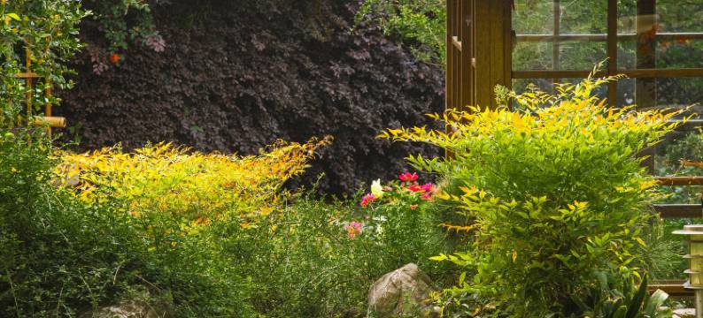 溧阳戴埠绿乡民宿图片