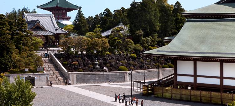 成田国际花园酒店(International Garden Hotel Narita)图片