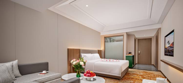 成都悠泊豪生荟酒店图片