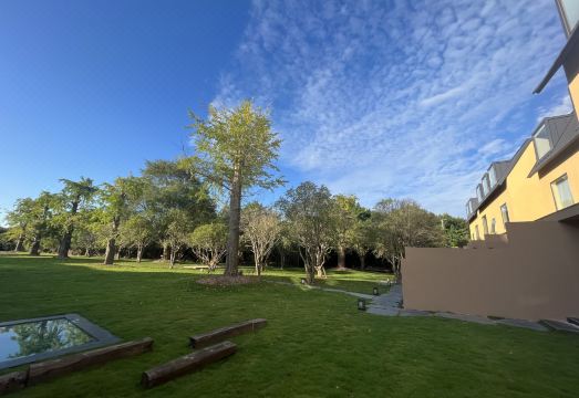 Shanghai Xingshe Camping HomestayHotel Overview