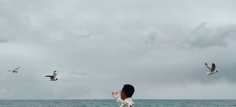 青海湖拉什则藏趣民宿图片