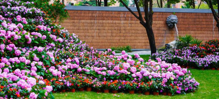 西安香格里拉大酒店图片