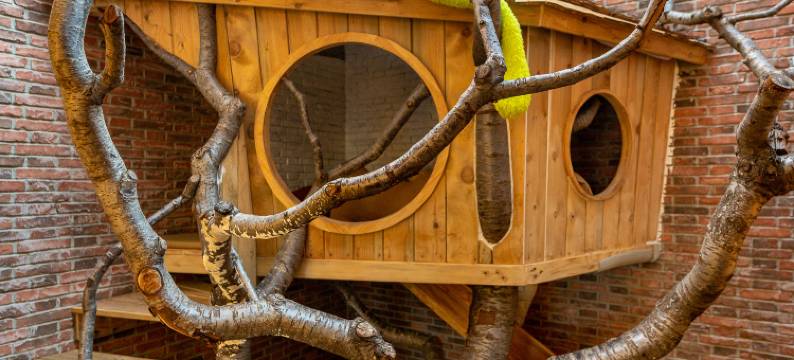 方糖遇见民宿(阿那亚金山岭店)图片