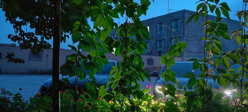 敦煌敦遇小舍图片