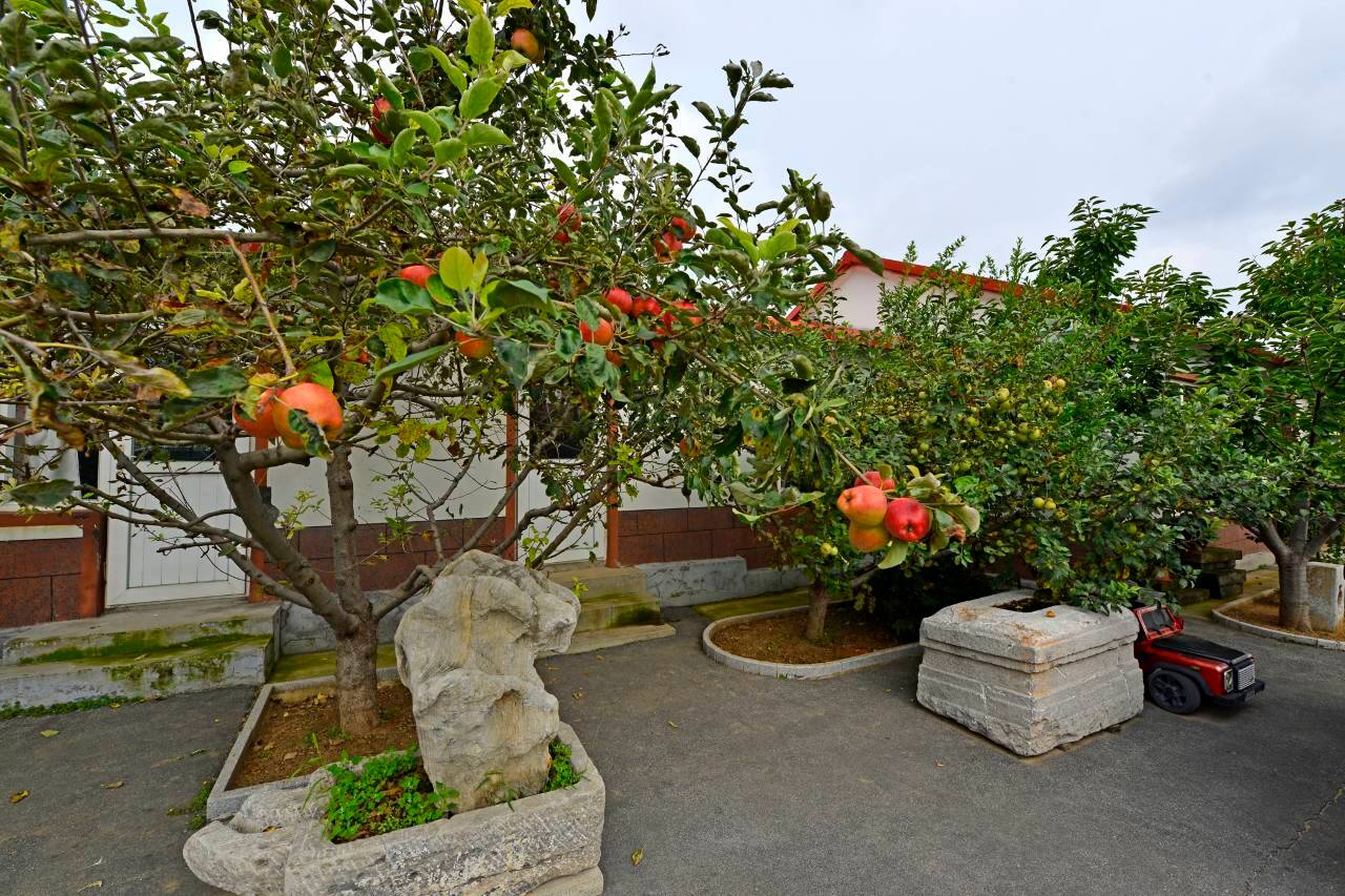 山海关58号民宿(秦皇岛山海关站店)图片