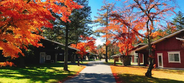 轻井泽王子别墅(The Prince Villa Karuizawa)图片