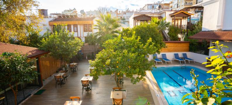 奥斯卡花园(Oscar Garden Hotel)图片