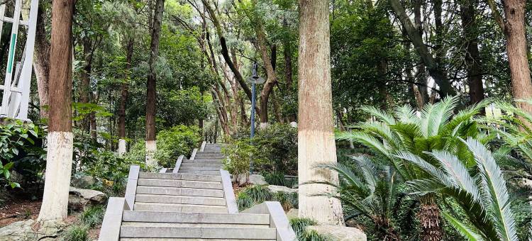 候鸟家园旅居酒店(千岛湖骑龙巷店)图片