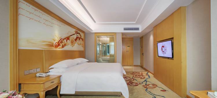维也纳酒店(南丹幸福城金芙蓉广场店)图片