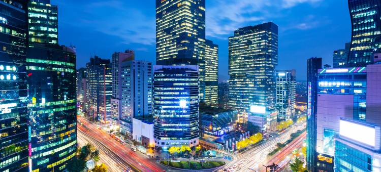 首尔江南艾琳娜酒店(Hotel Eliena Seoul Gangnam)图片