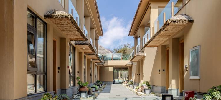 元阳云裳半山休闲酒店图片