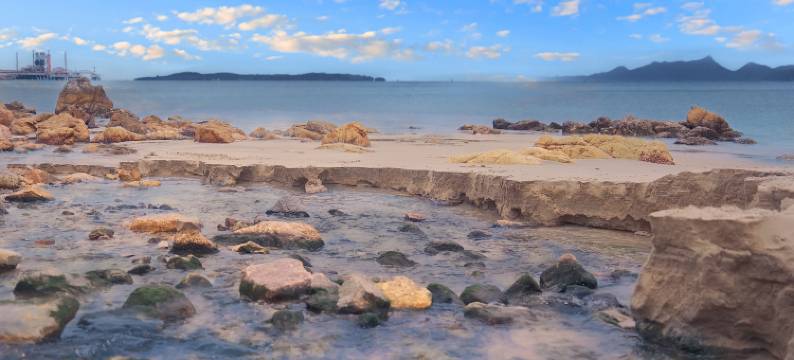 深圳官湖翠鸟·屿海海景民宿图片