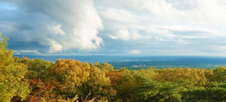 若喜日式旅馆(Wakaki Ryokan - Nasu Yumoto Onsen)图片