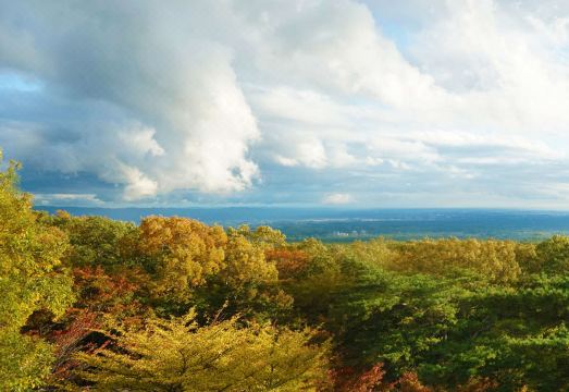 Wakaki Ryokan - Nasu Yumoto Onsen Hotel Overview