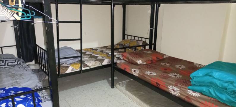 Cuzy haven backpackers图片