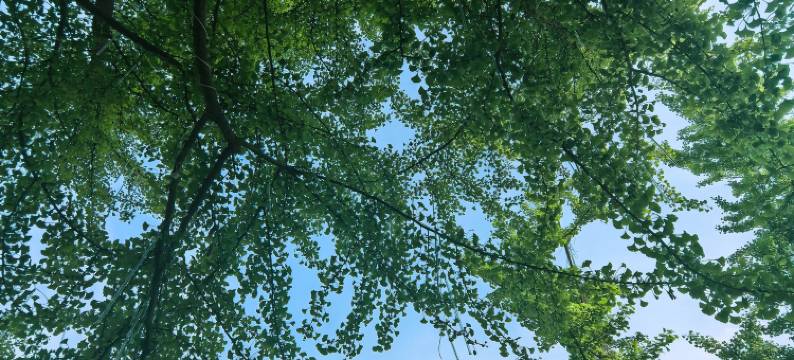 峨眉山再一舍·湖景环山度假休闲美宿(峨眉观音湖店)图片