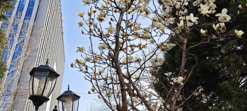 北京城宝饭店(北京三元桥地铁站店)图片