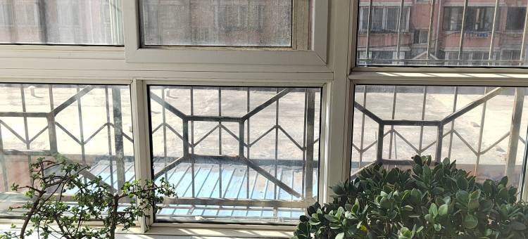 龙港区金鑫晓筑民宿图片