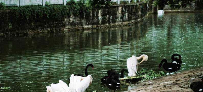 梵净小苑(贵州医科大学附属医院盐务街店)图片
