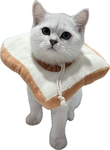 梵境舍民宿(梵净山寨沙侗寨店)图片