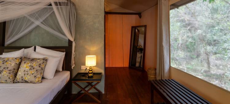 威尔帕图荒野(Wilds Wilpattu)图片