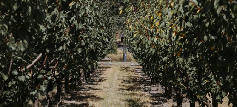 铁溪湾庄园(Iron Creek Bay Estate)图片
