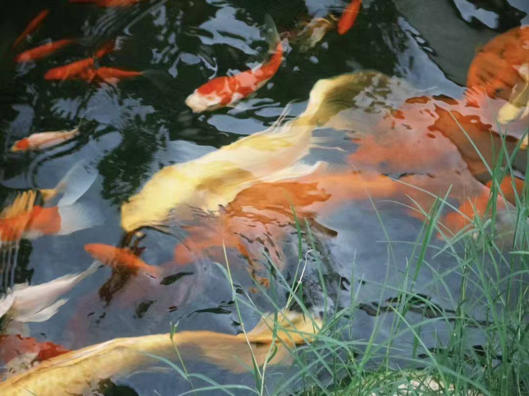 Happy民宿(景德镇陶溪川北路店)图片