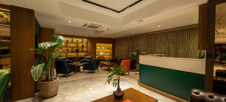 ALVES HOTEL IZMIR图片