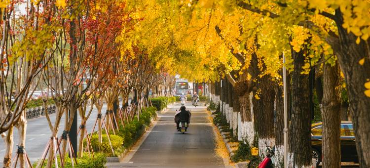 苏州中心大酒店图片