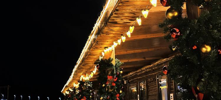 葡萄·牧时隅8648°民宿(白哈巴景区店)图片