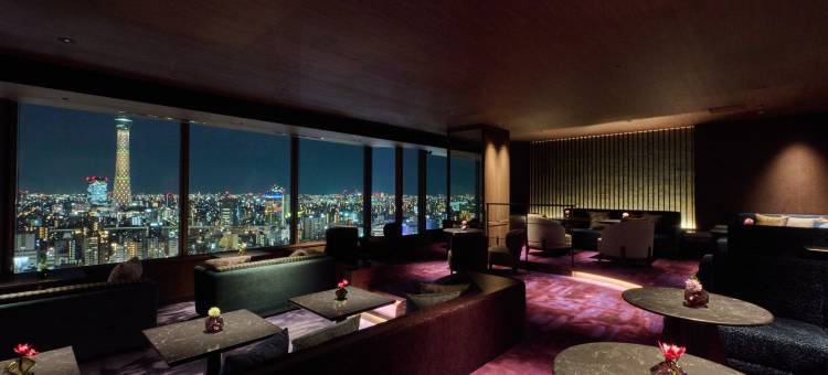 东京浅草豪景酒店(Asakusa View Hotel)图片