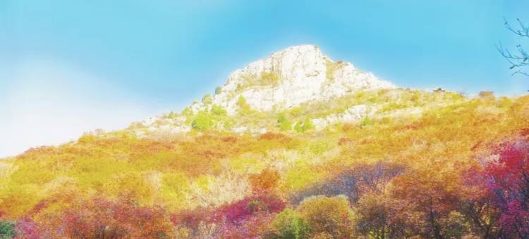 华美达安可酒店(潍坊临朐朐山路龙韵文化城店)图片