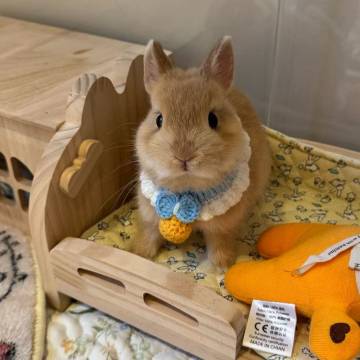 婺城区四季瑞丽酒店(世贸城市广场店)图片