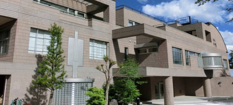 利夫马克斯度假酒店 八岳高原(Livemax Resort Yatsugatake Highlands)图片