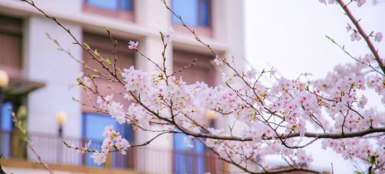 合肥融创雅高美居酒店图片