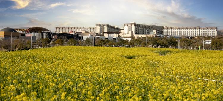 济州神话世界度假酒店 – 蓝鼎(Landing Jeju Shinhwa World Hotels & Resorts)图片