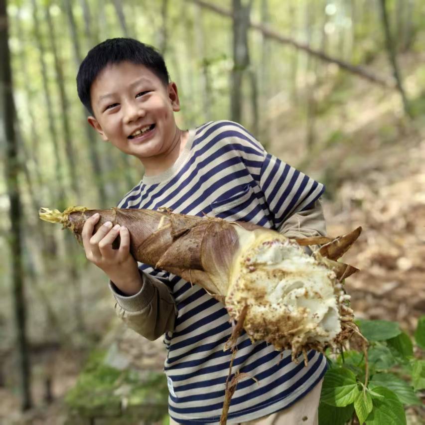 黄山德懋堂度假村图片