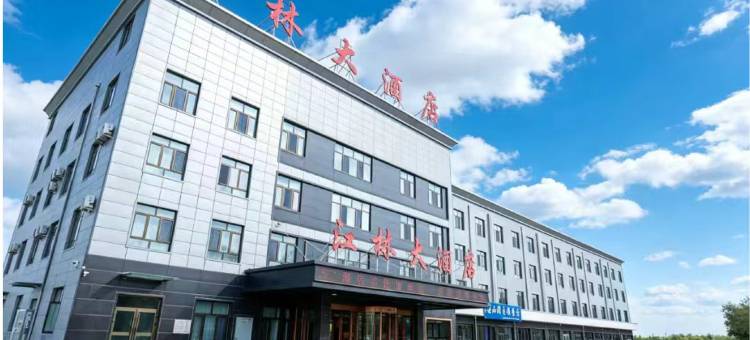 江林大酒店(阿克塞金山湖店)图片