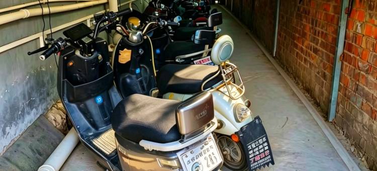 36号院云庭民宿馆(开封万岁山大宋武侠城店)图片