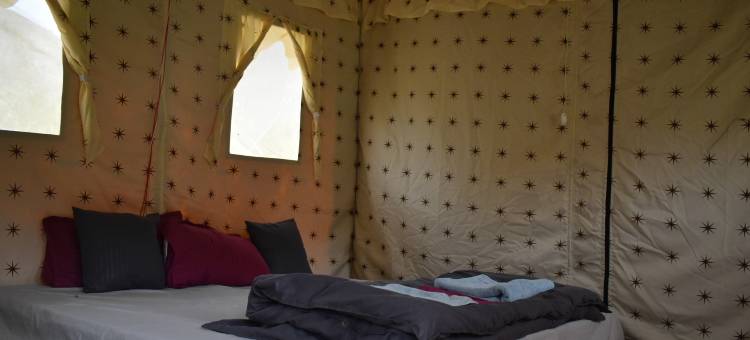 斯皮蒂河露营地(Spiti River Campsite)图片