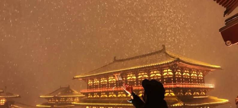 望舒民宿(隋唐洛阳城应天门遗址丽景门店)图片