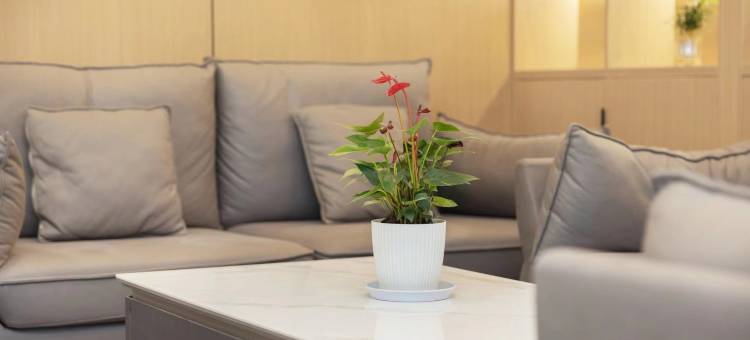 格林豪泰(靖江汽车站店)图片