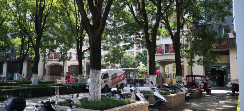 西安曲江三只小猫民宿图片